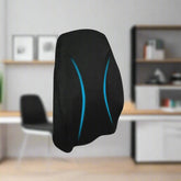 Back Rest for Chair Memory Foam Backrest Cushion Lumbar Support Pain Relief Pillow for Office Chair and Car Seat (Mesh Breathable Cover) JSB MF10